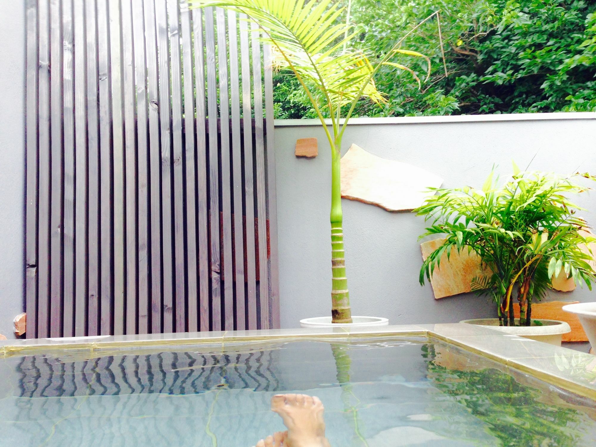 Beach Side Inn Shirahama Shimoda  Exterior foto